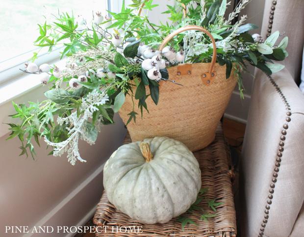 Fall foilage
