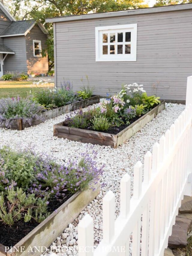 Cottage Garden Elements in Backyard space