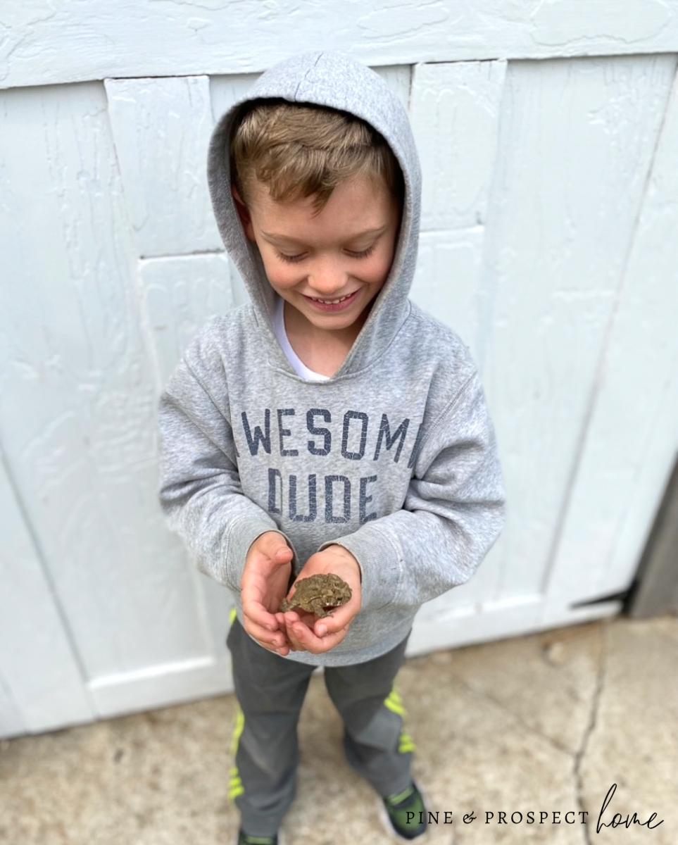 Why We Chose To Homeschool Our Boys And The Wonderful Resources We Use ...