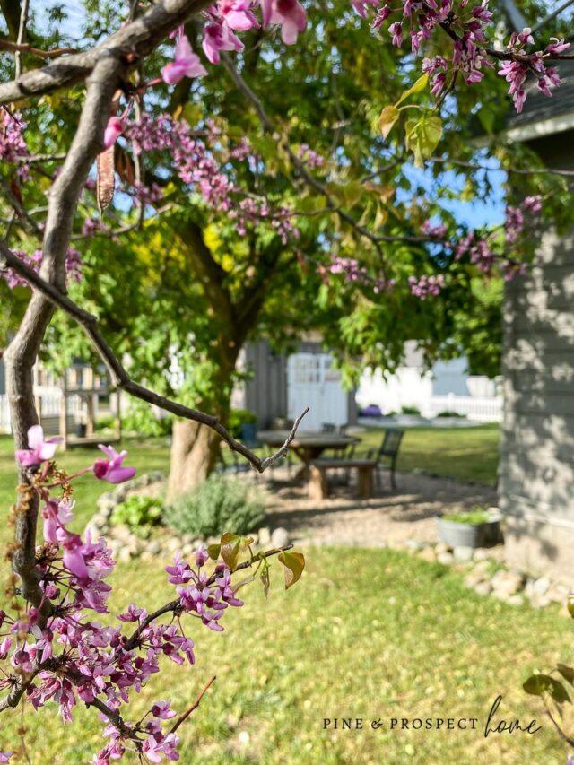 DIY back patio area in backyard of english cottage influenced yard and garden tour