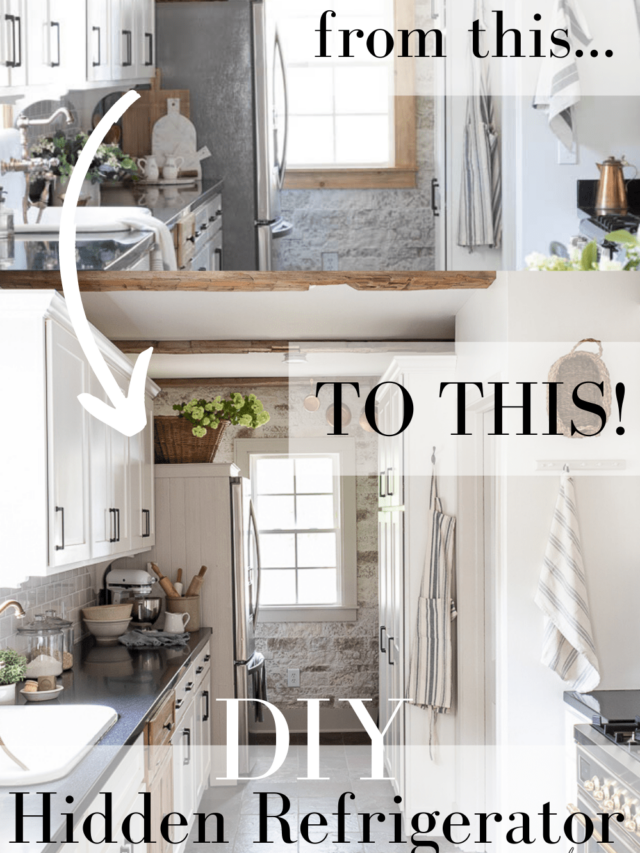DIY hidden refrigerator with panelling