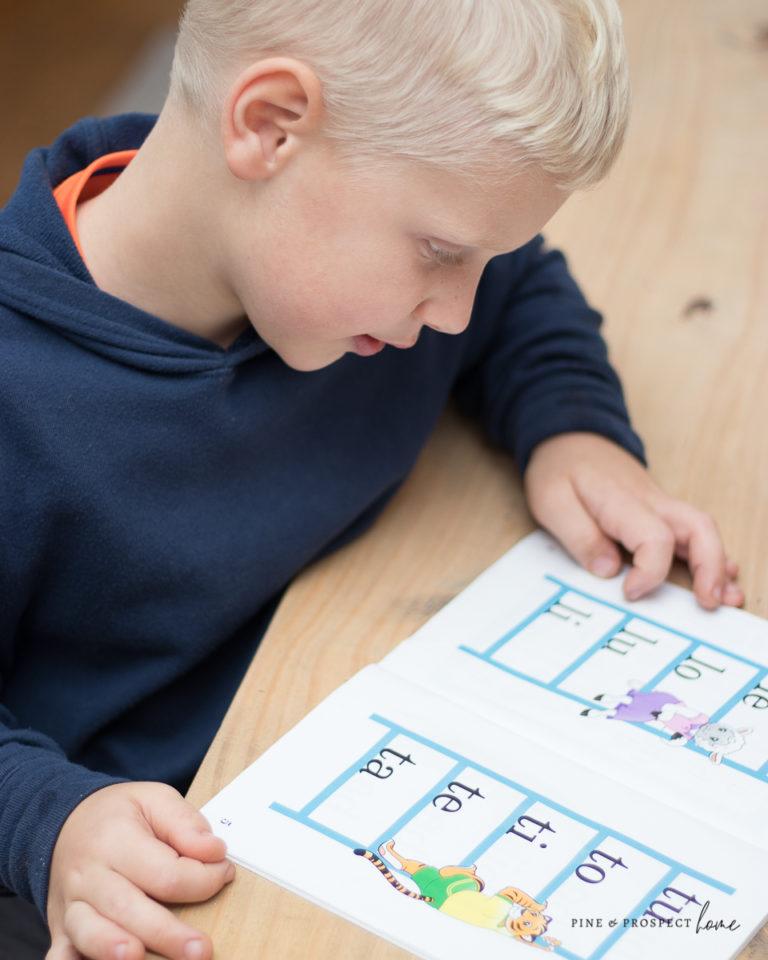 Why We Chose To Homeschool Our Boys And The Wonderful Resources We Use ...