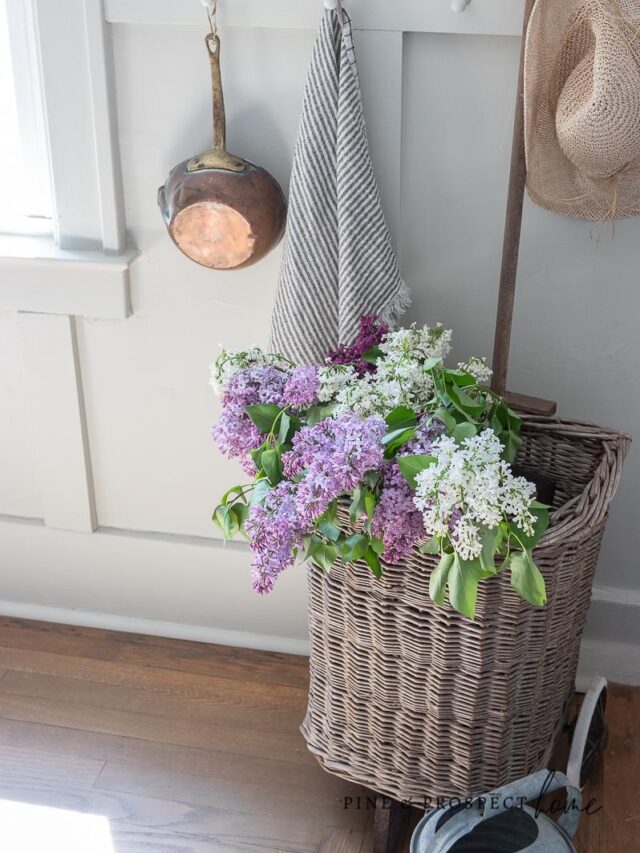 Vintage Shopping Basket thrifted find home decor