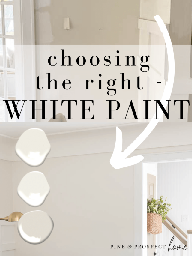 Choosing the Right White Paint