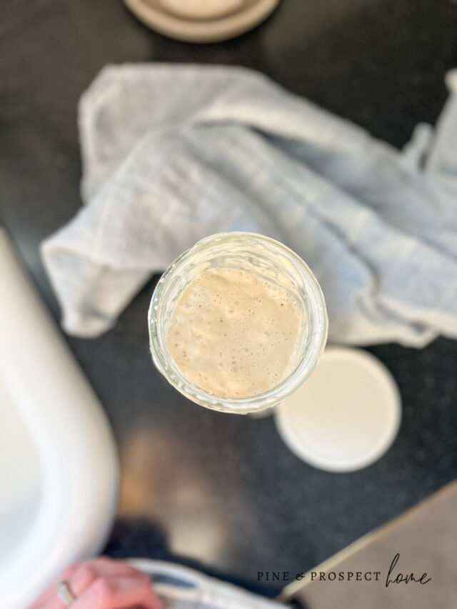 Simple bubbly active sourdough starter