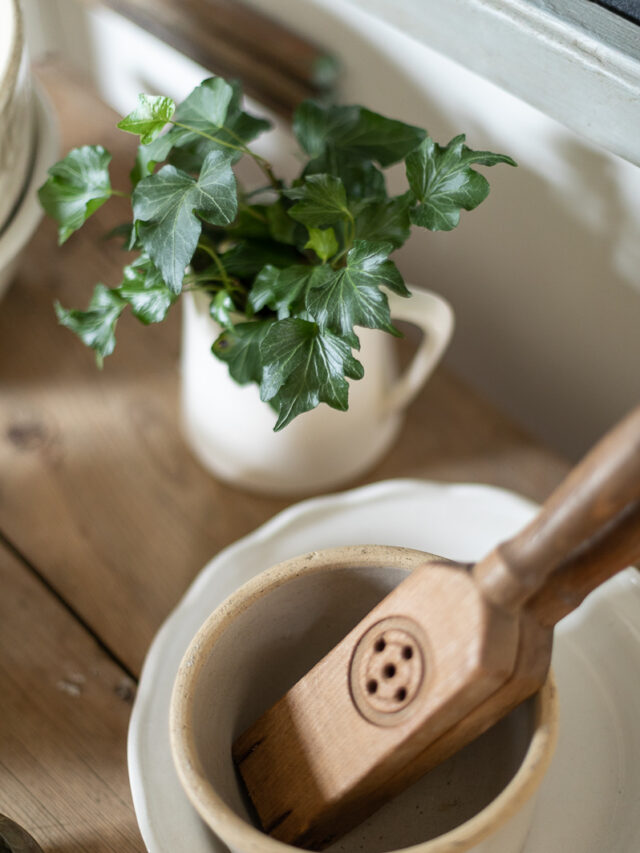 Beautiful simple to care for indoor plants
