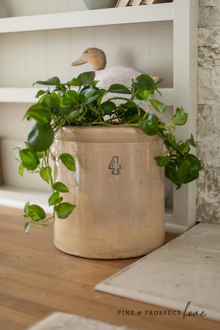 Cottage Style Indoor Plants - How to Incorporate Them Into Your Home ...