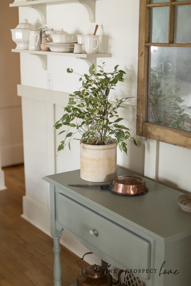 Cottage Style Indoor Plants - How to Incorporate Them Into Your Home ...