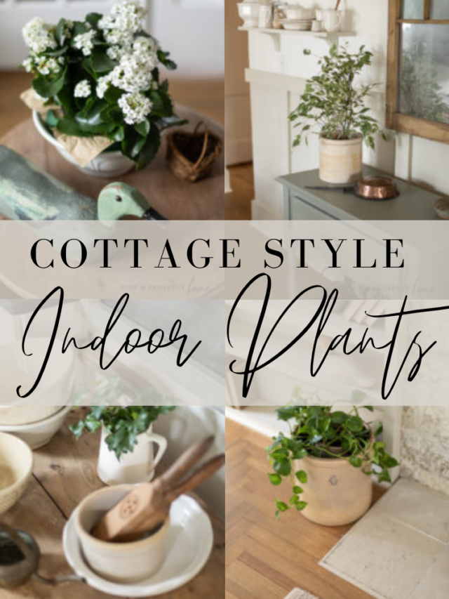Cottage Style Indoor Plants