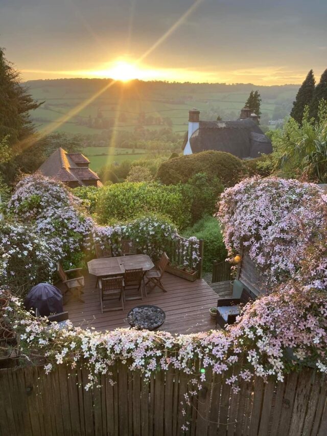 #clematis #clematisplants #easyplants #lowmaintenanceplant #lowmaintenance #honeysuckle #roses #flowers #flower #bloom #blooms #garden #gardening #outdoors #lawn #yard #arch #gardenarch #arbor #gardenarbor #trellis #gardentrellis #trellising #cottage #cottagestyle #cottagestylegarden #cottagestylegardenarbor #cottagestylegardenarch #archway #gardenarchway #summer #summertime #spring #springtime #plants #plant #planted #beautifulgarden #beauty #climbingplant #climbingplants #bestclimbingplants #easyclimbingplants #whimsical #whimsicalplants