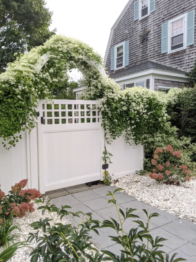#clematis #clematisplants #easyplants #lowmaintenanceplant #lowmaintenance #honeysuckle #roses #flowers #flower #bloom #blooms #garden #gardening #outdoors #lawn #yard #arch #gardenarch #arbor #gardenarbor #trellis #gardentrellis #trellising #cottage #cottagestyle #cottagestylegarden #cottagestylegardenarbor #cottagestylegardenarch #archway #gardenarchway #summer #summertime #spring #springtime #plants #plant #planted #beautifulgarden #beauty #climbingplant #climbingplants #bestclimbingplants #easyclimbingplants #whimsical #whimsicalplants