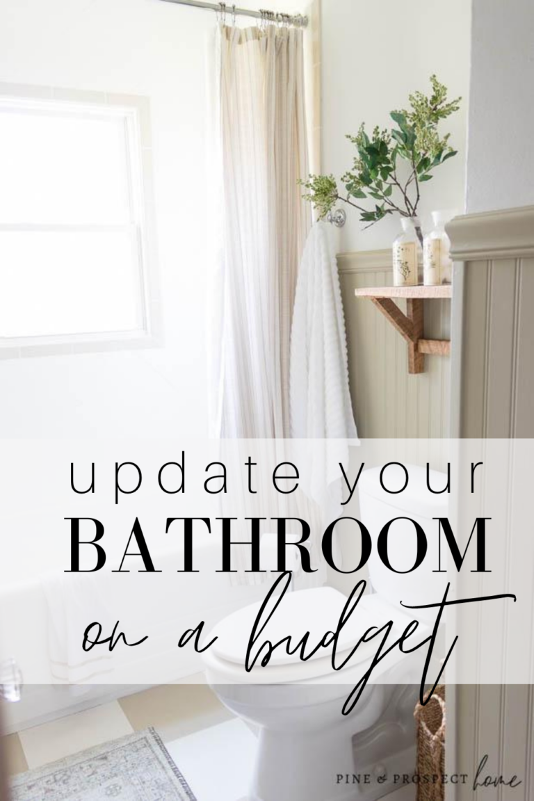 DIY Budget Friendly Bathroom Update: How To Refresh Your Bathroom On A ...