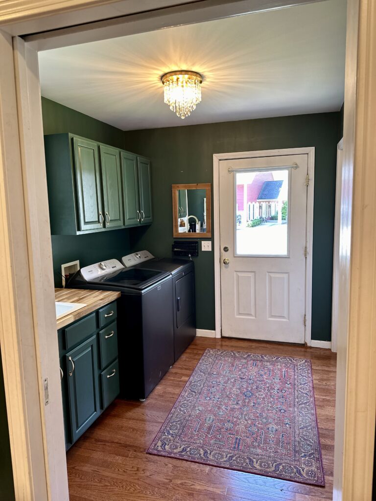 Dark Moody Vintage Home Laundry Room