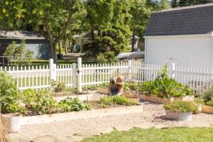 arbor, asparagus, beginner gardener, beginning gardener, beginning vegetable gardener, carrots, Collard greens, cucumber, Cucumbers, diy garden, diy outdoor project, diy vegetable garden, first garden, first time gardener, flower, flower box, flower boxes, food, garden, garden project, garden update, gardener, good recipes, grow, grow your own food, growing season, harvest, healthy, leafy greens, Okra, organic, organic produce, outdoor project, outdoor space, peppers, plant, planting season, Plants, Pole beans, potatoes, produce, Radishes, Romain lettuce, season, Snap peas, soil, summer, summer garden, summer time, tomatoes, update, variety, vegetable, vegetable garden, vegetable garden update, vegetable gardener, vegetable plants, vegetables, water, watering care, watermelon, weed barrier, yard, yards and garden, Yellow squash, zucchini