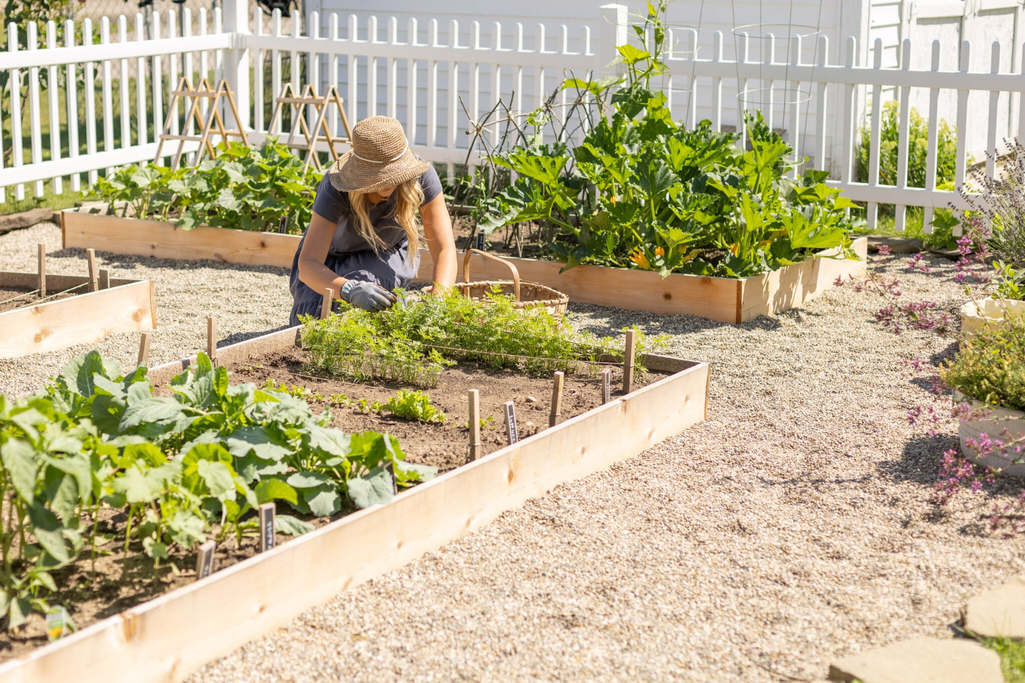 Summer Garden Update: Growing My Own Little Vegetable Garden - Pine and ...
