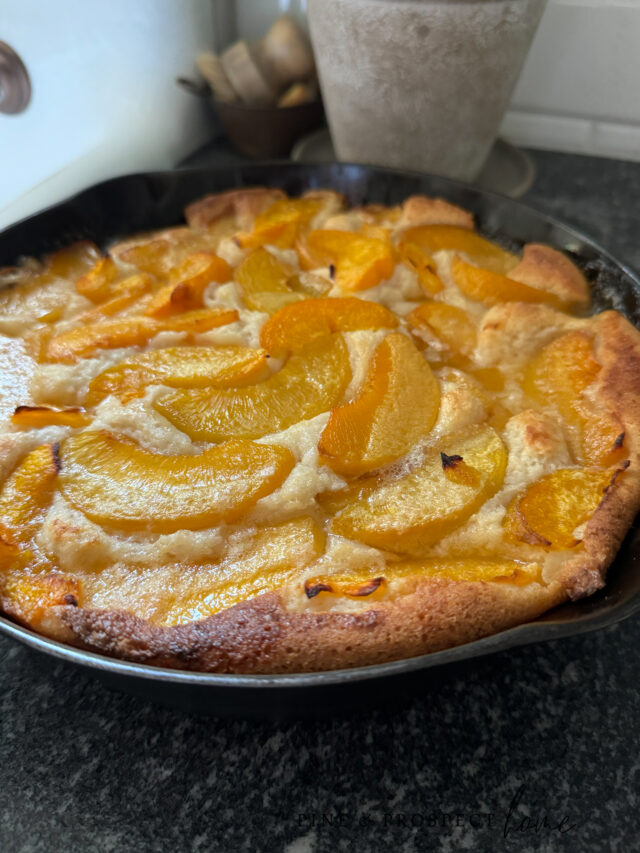 bake, baked, baked goods, butter, can, canned peaches, cast iron, cast iron pan, cobbler, cup, delicious, dessert, dessert recipe, dessert recipes, desserts, easy, easy recipe, fast recipe, flour, homemade, homemade baked goods, milk, moms recipe, pan, peach, peach cobbler, peach cobbler recipe, peaches, simple, sliced peaches, sugar, summer dessert, summer dessert recipe, summer recipe, summer recipes, sweet, sweet recipe, sweet treat, treat