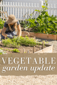 Vegetable Garden Update