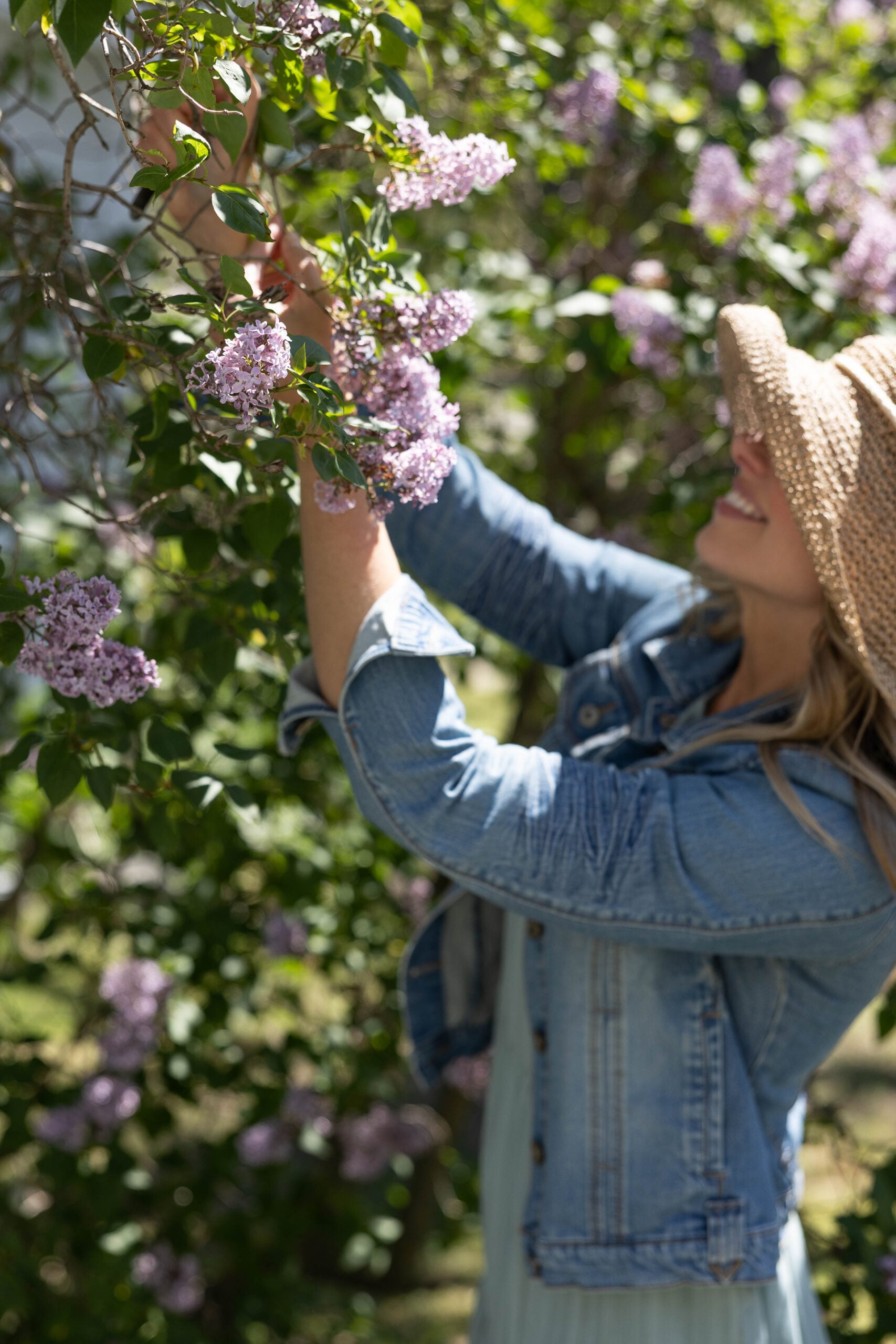 Fresh flowers from your own backyard