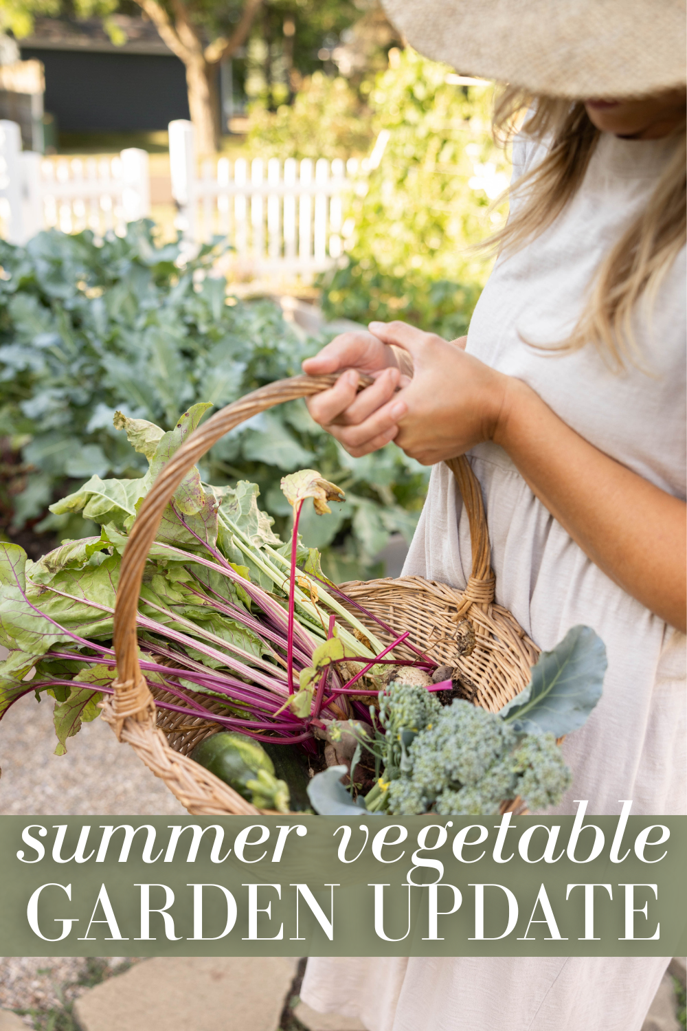 Summer Vegetable Garden Update 