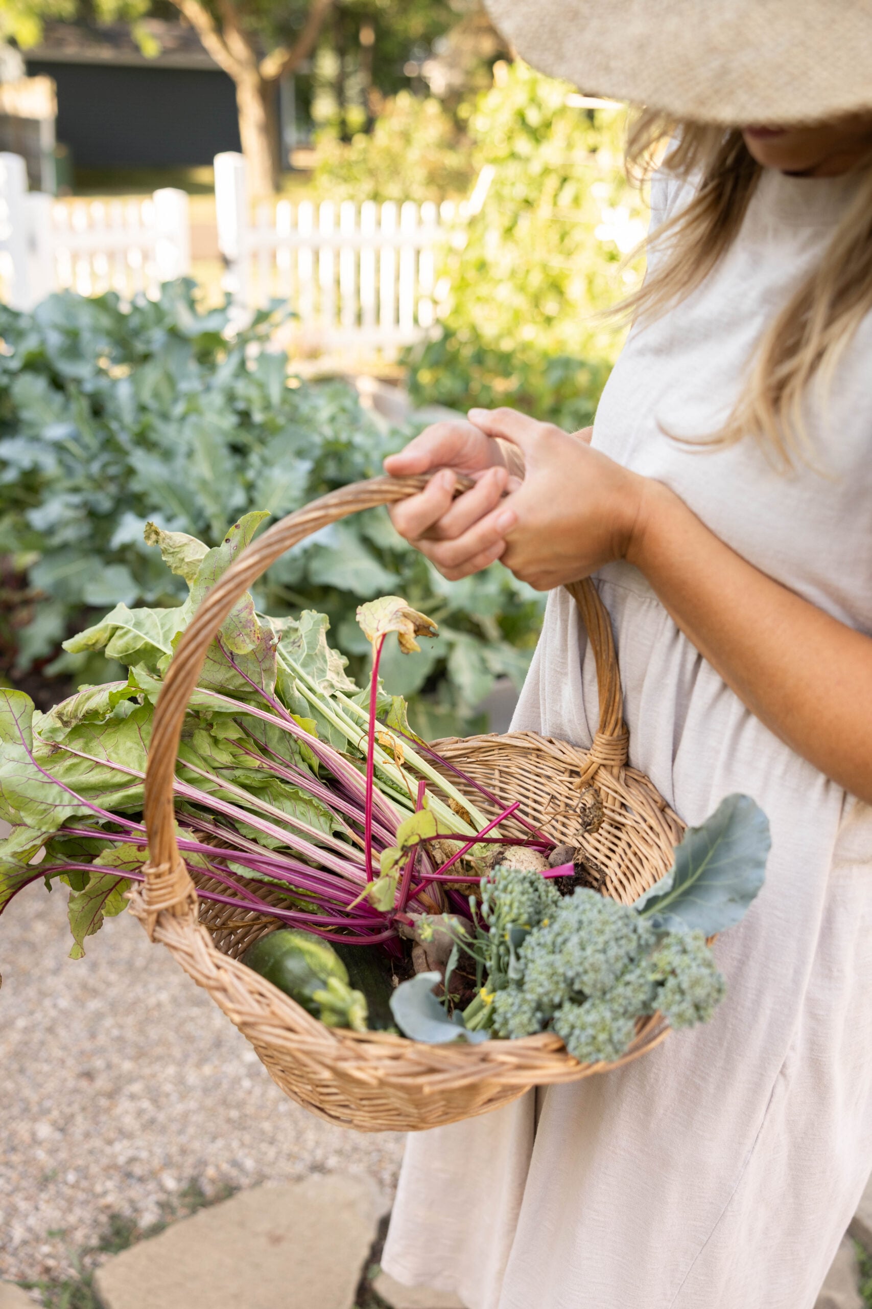 Freshly harvested vegetables