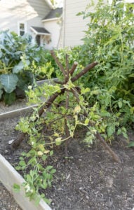 Vegetable garden upkeep