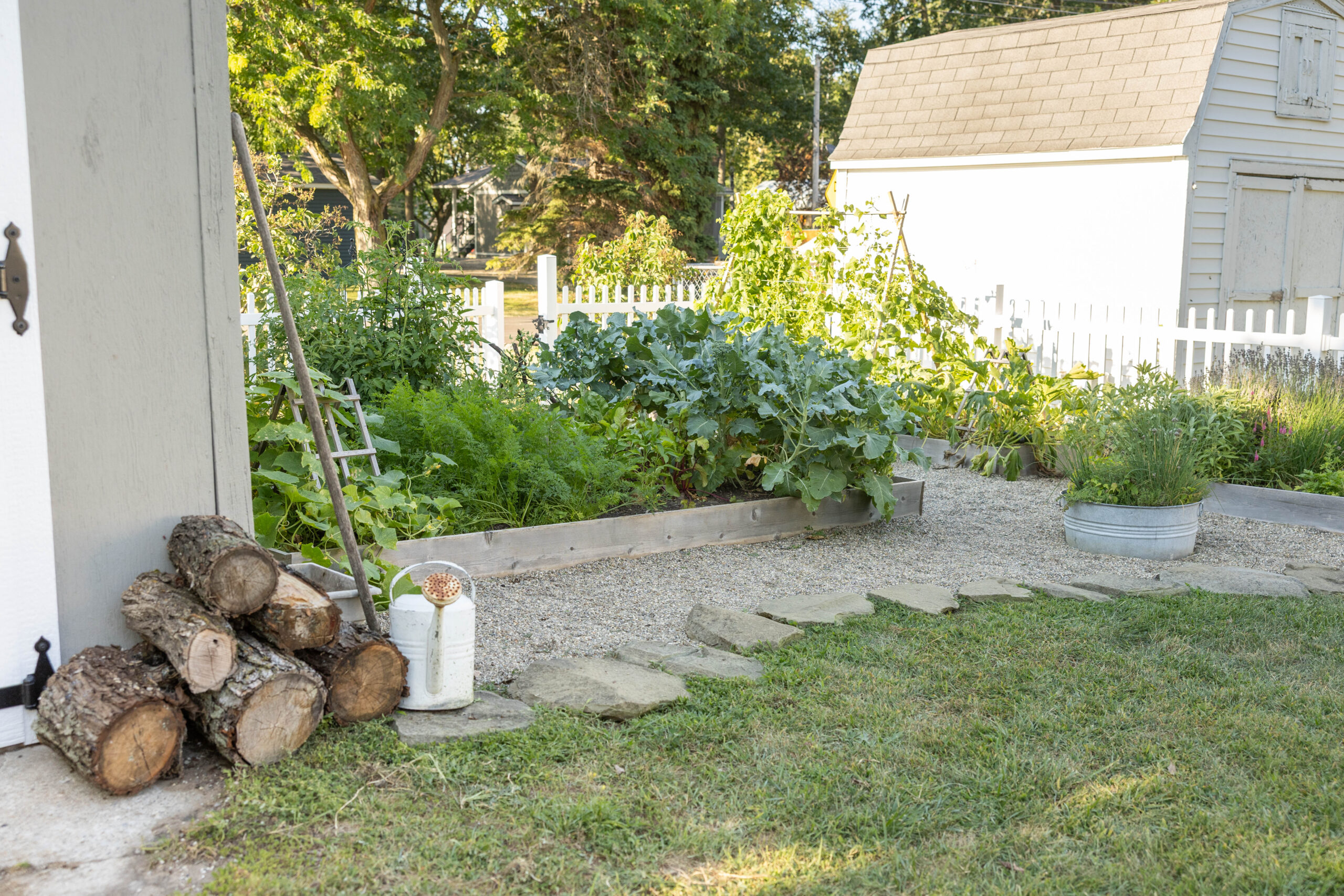 Summer garden update