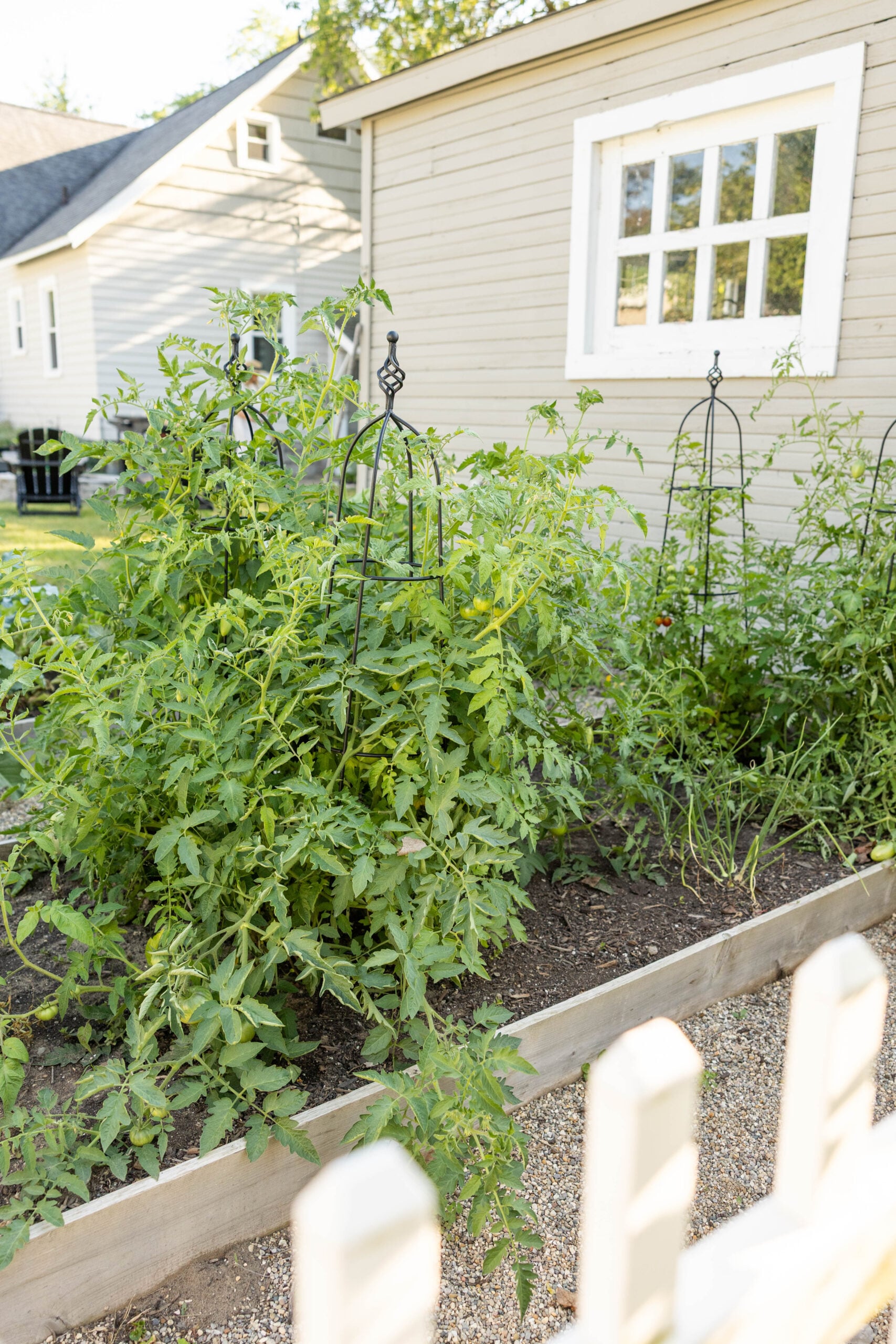 Vegetable garden