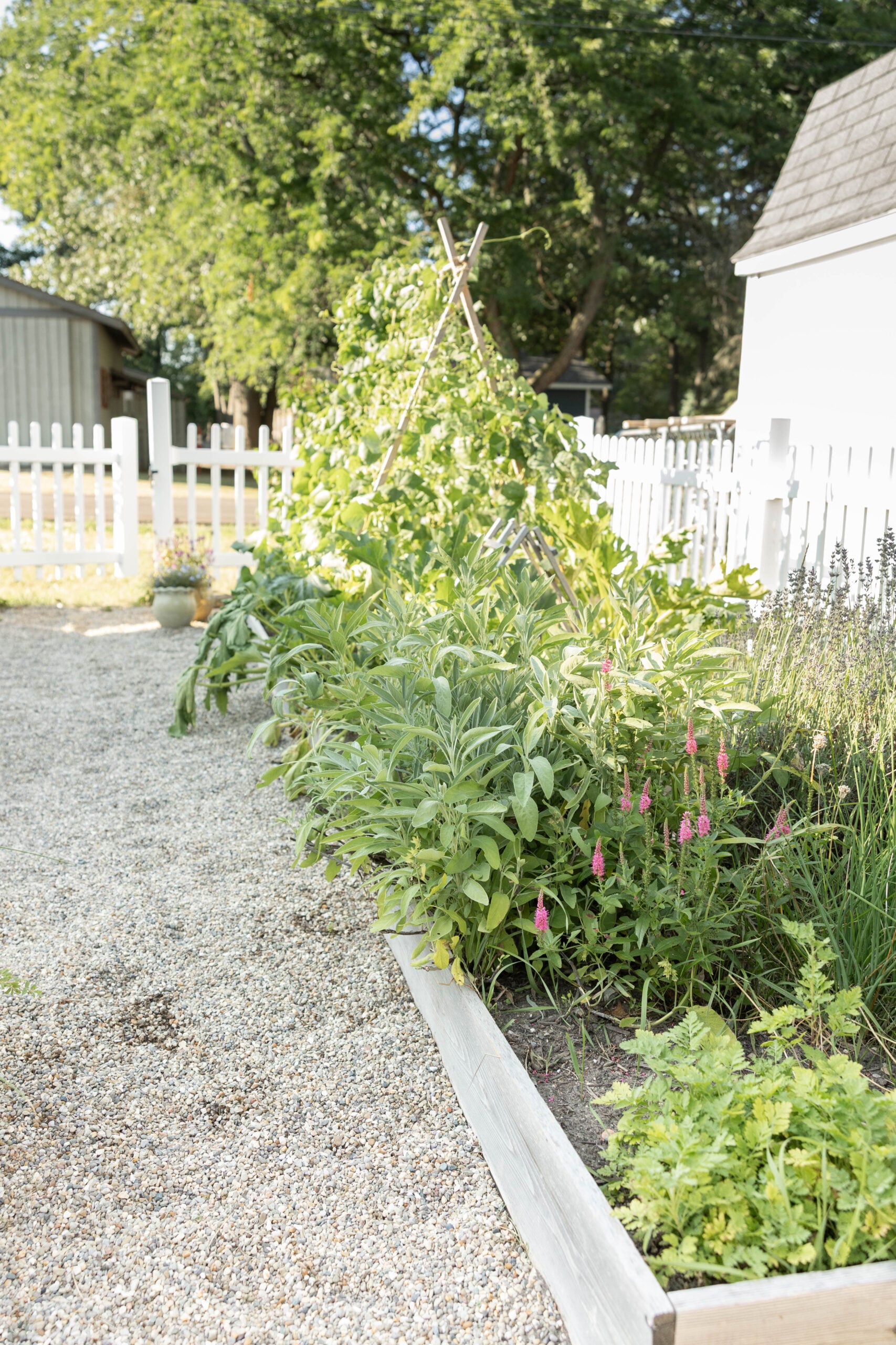 Patio project