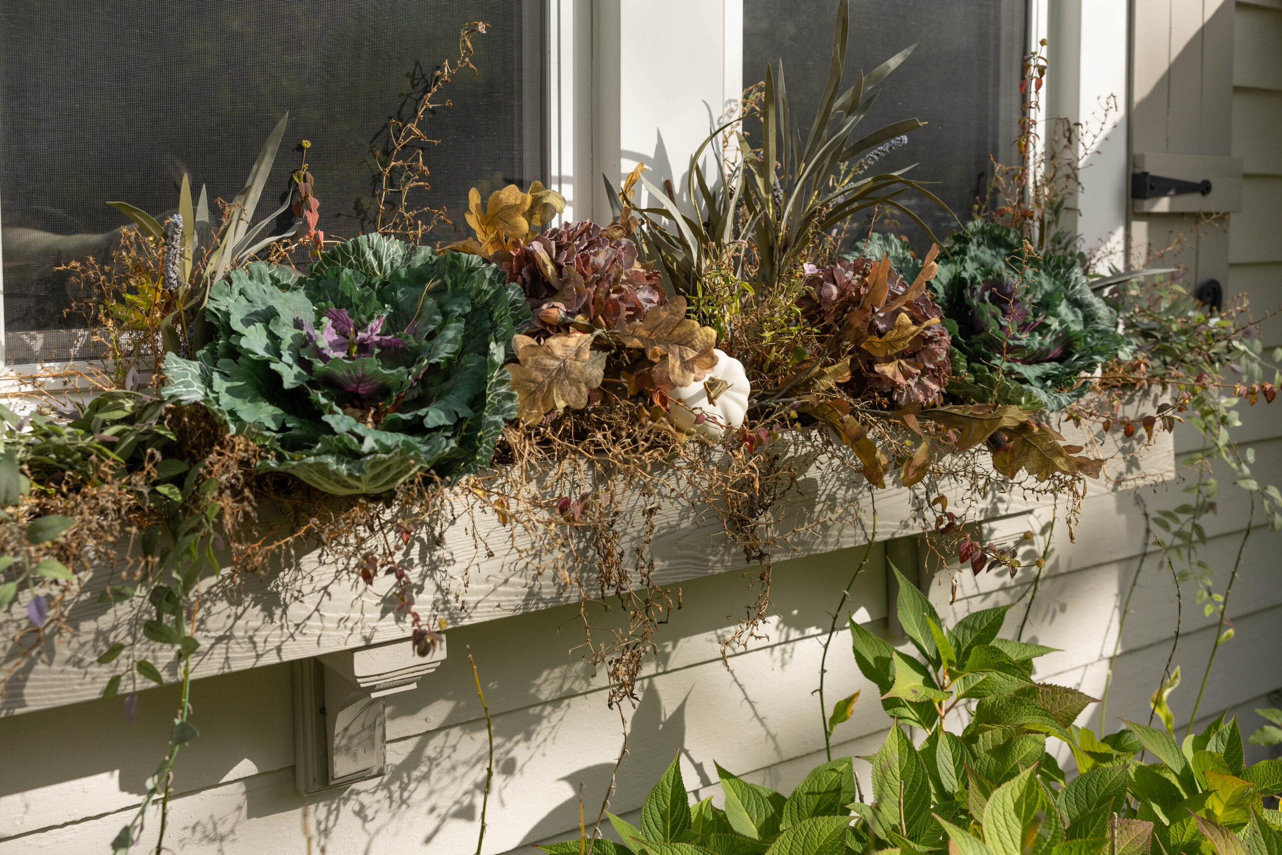 Fall window boxes
